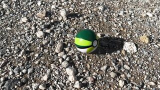 Pokémon Trainer Catches a Ditto (roleplay)