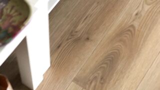 Shrek 5 or how I Fucked a Crazy Stepsister