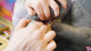 Anuskatzz Is Getting Stuffed With Lily Lus Cock And Miss Floras Strapon