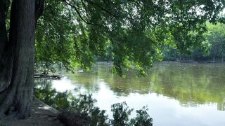 Gave her a Creampie in Nature (Almost Caught)