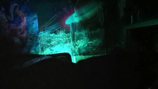 Rainbow Lightning (P4 - FINALE)