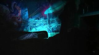 Rainbow Lightning (P4 - FINALE)