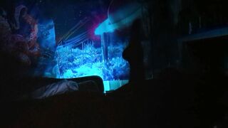 Rainbow Lightning (P4 - FINALE)