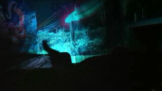 Rainbow Lightning (P4 - FINALE)