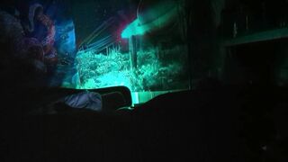 Rainbow Lightning (P4 - FINALE)